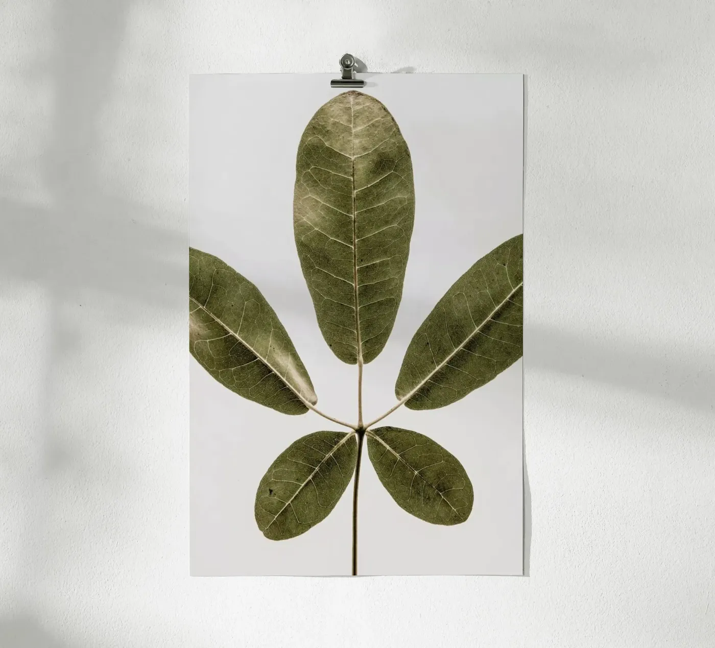 Autum Leaf poster da Shot By Clint