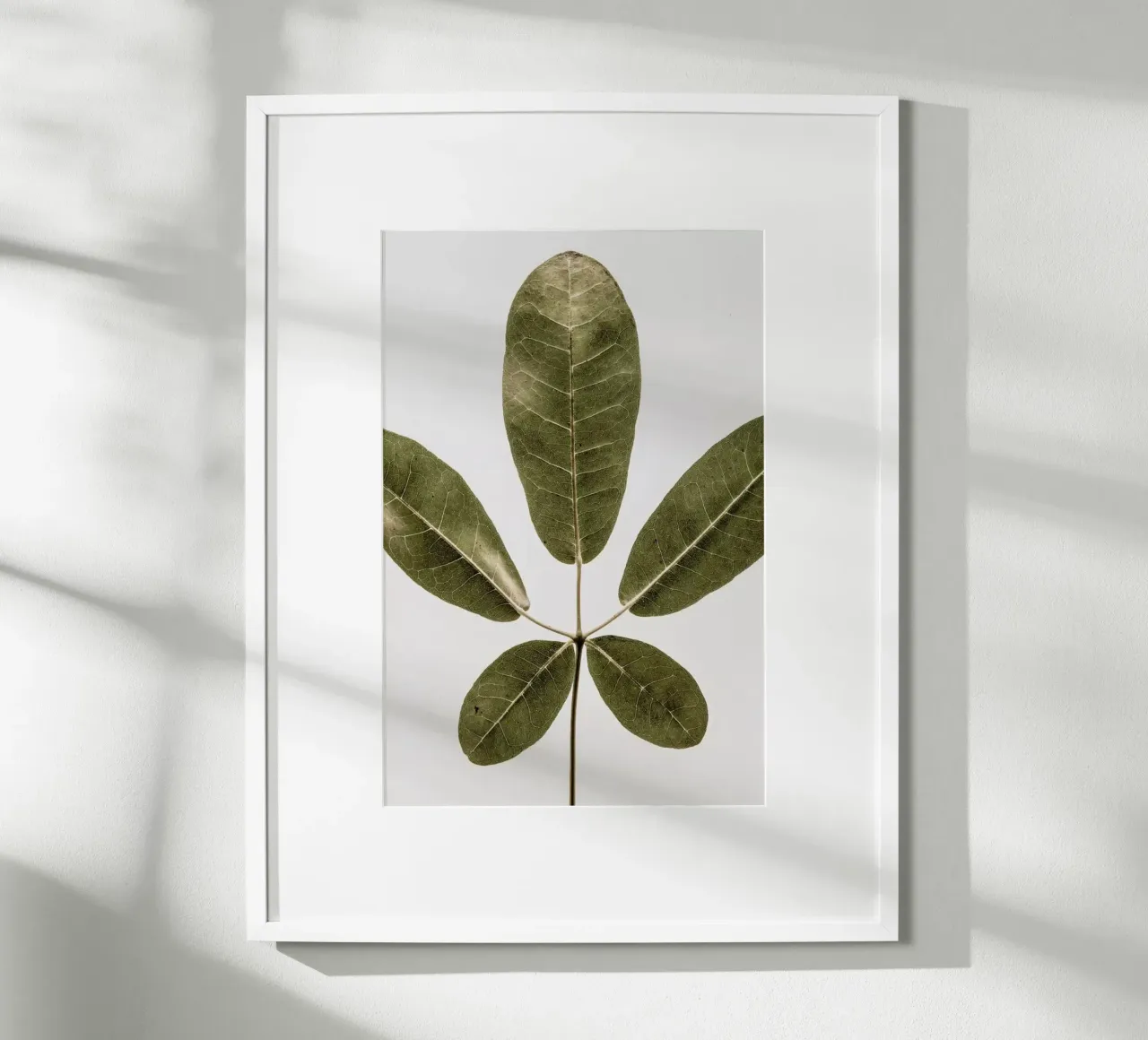 Autum Leaf poster da Shot By Clint