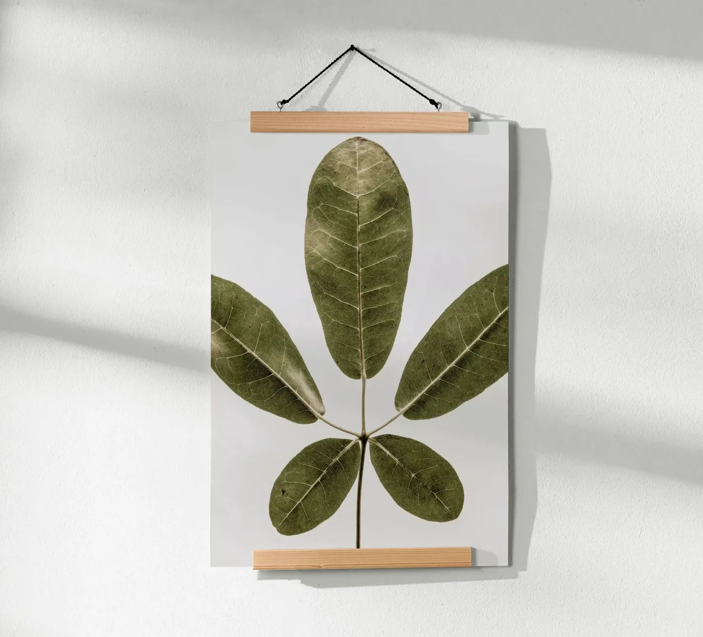 Autum Leaf poster da Shot By Clint