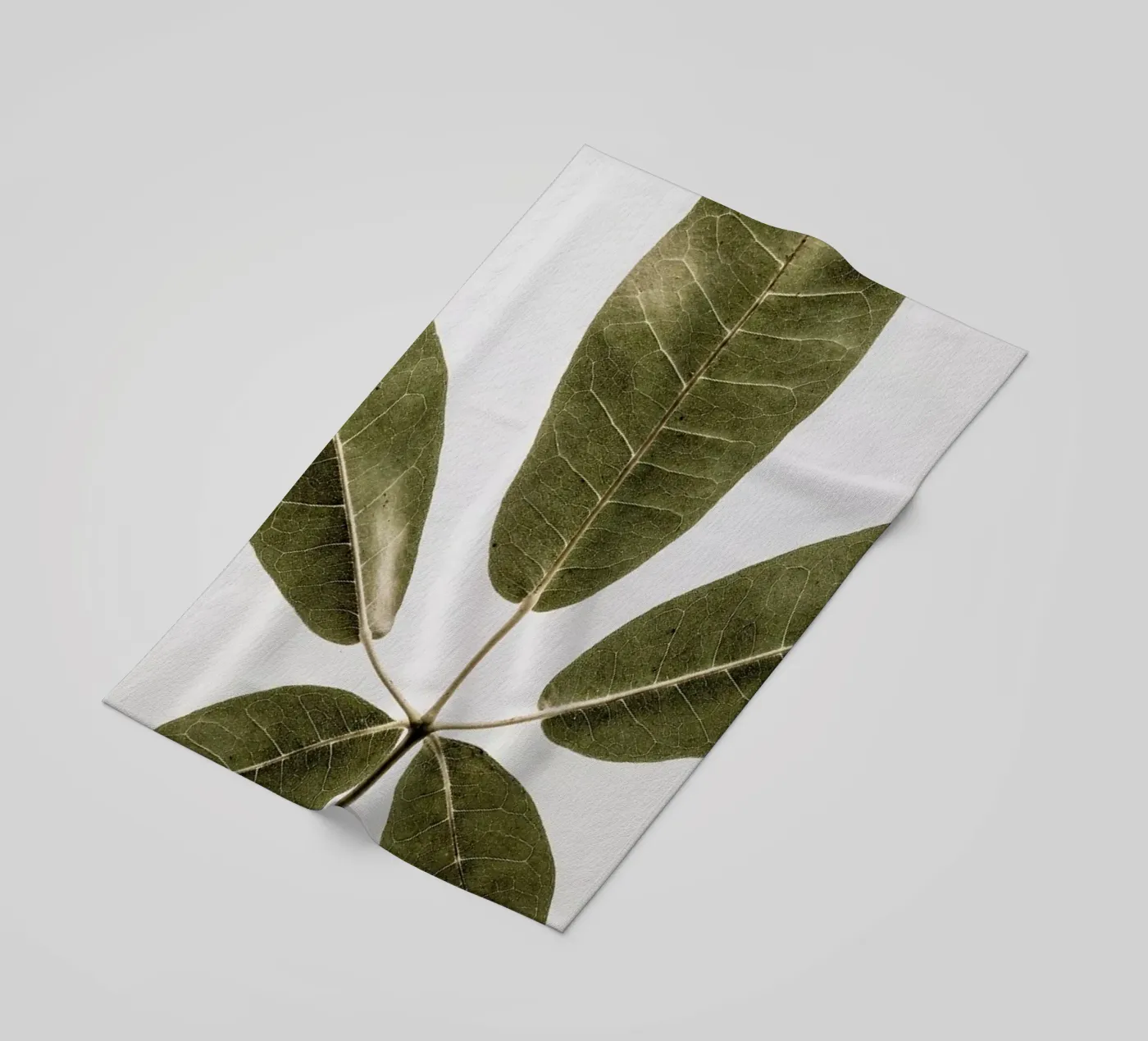 Autum Leaf telo mare da Shot By Clint