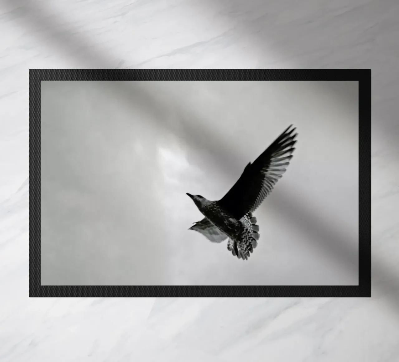 A seagull zerbino da Nur Mut