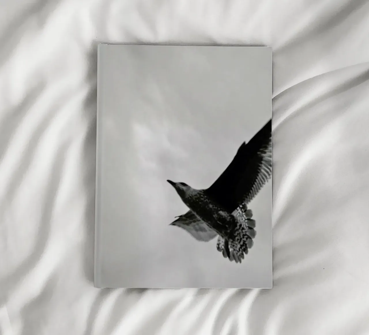 A seagull notebook by Nur Mut