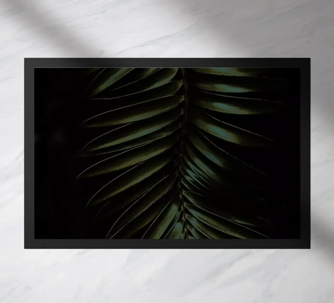 Cycad zerbino da Shot By Clint