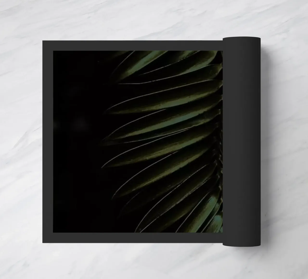 Cycad zerbino da Shot By Clint