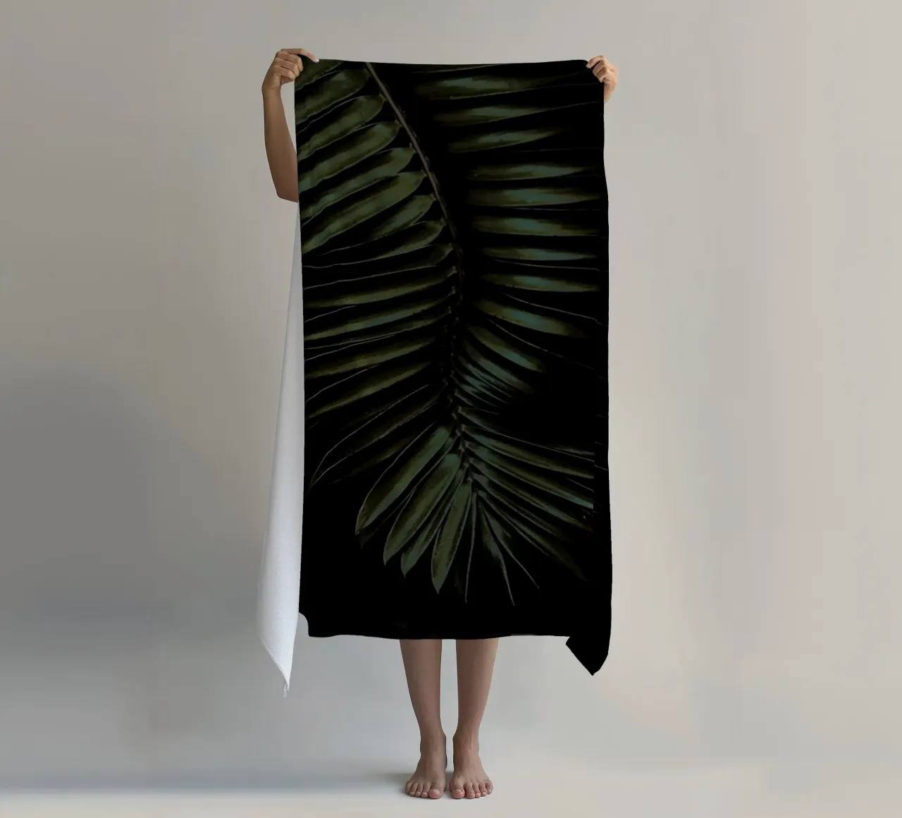 Cycad telo mare da Shot By Clint