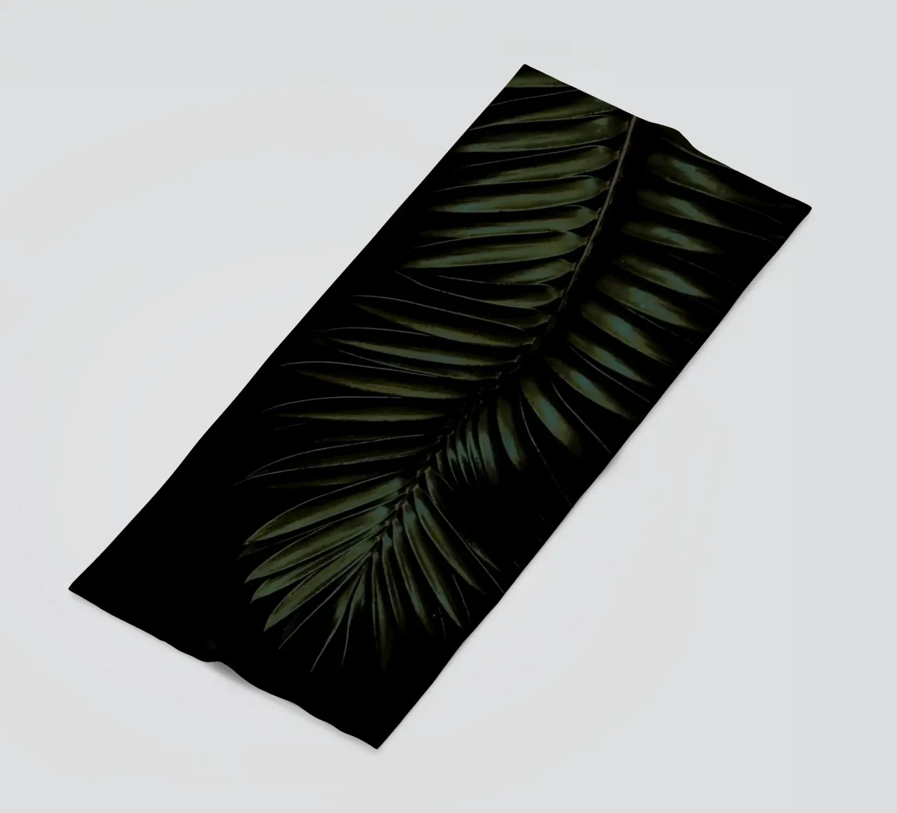 Cycad telo mare da Shot By Clint