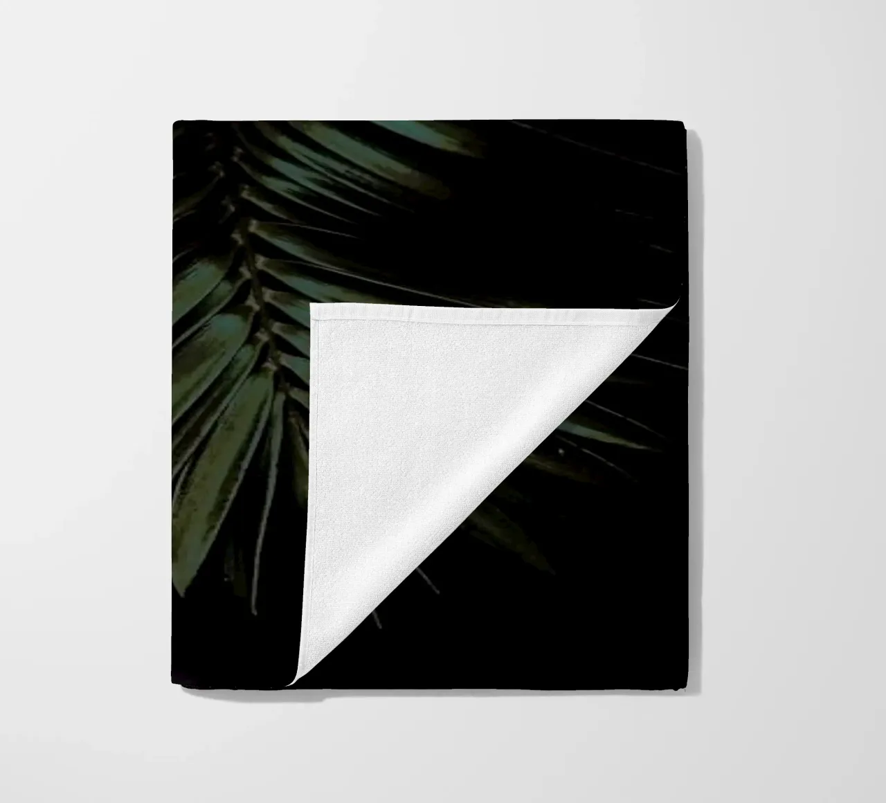 Cycad telo mare da Shot By Clint