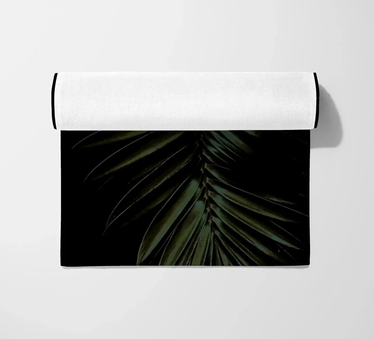 Cycad telo mare da Shot By Clint