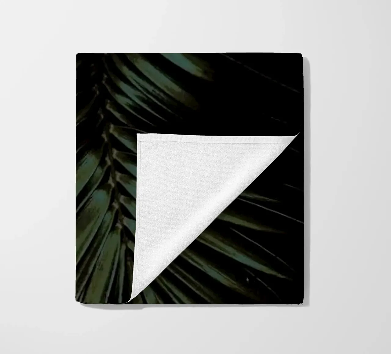 Cycad telo mare da Shot By Clint