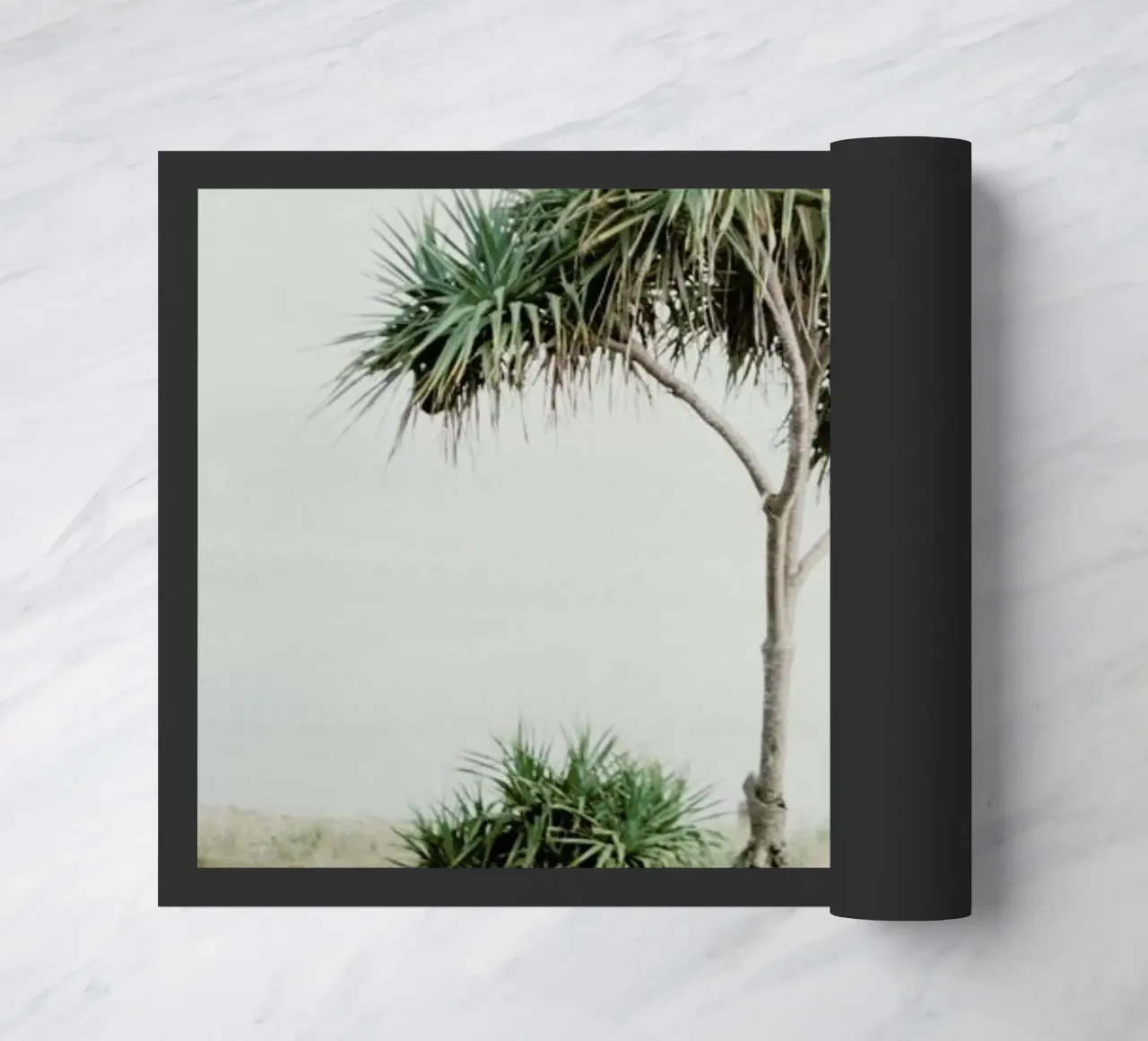 Australia zerbino da Alexandra Hellweg