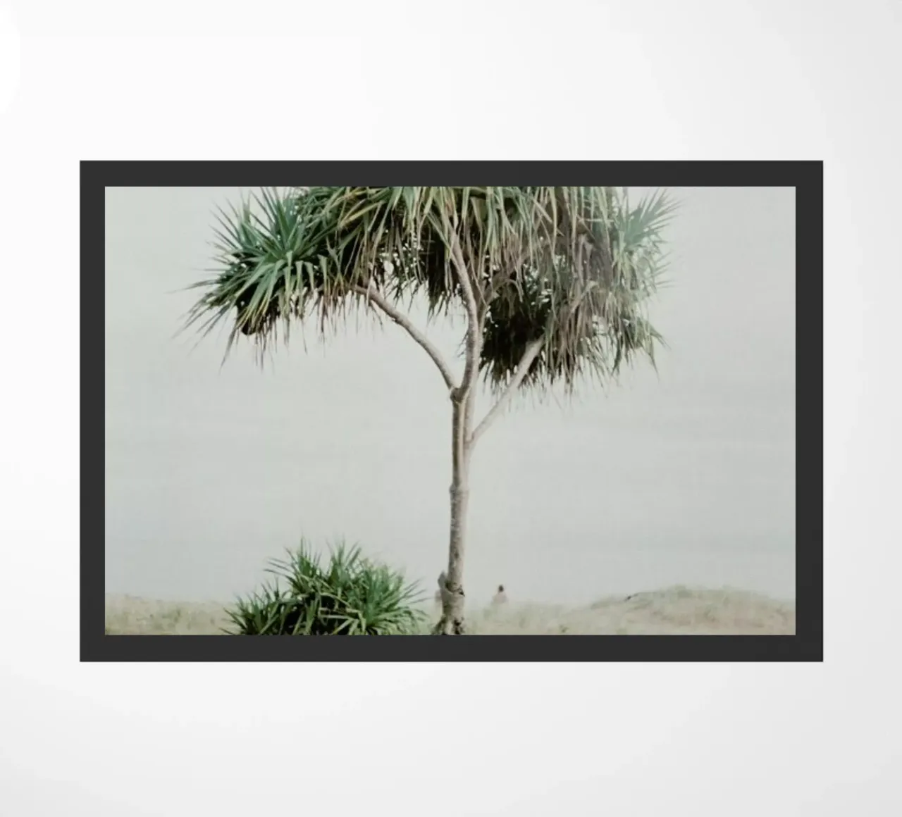 Australia zerbino da Alexandra Hellweg