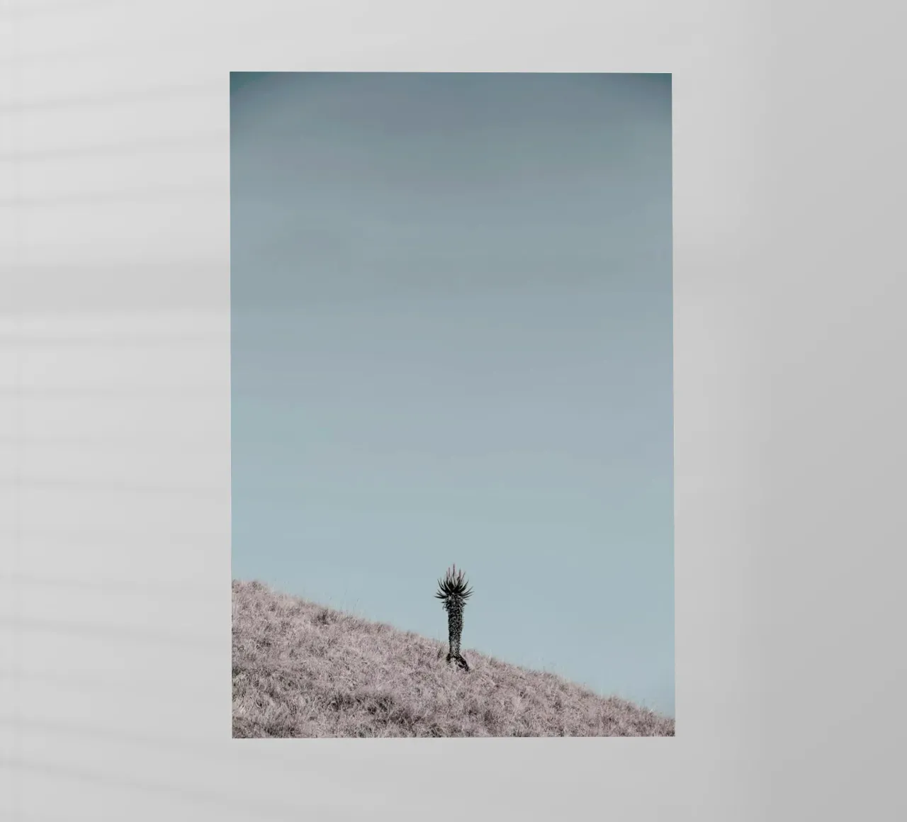 Solider pellicola backlit da Shot By Clint