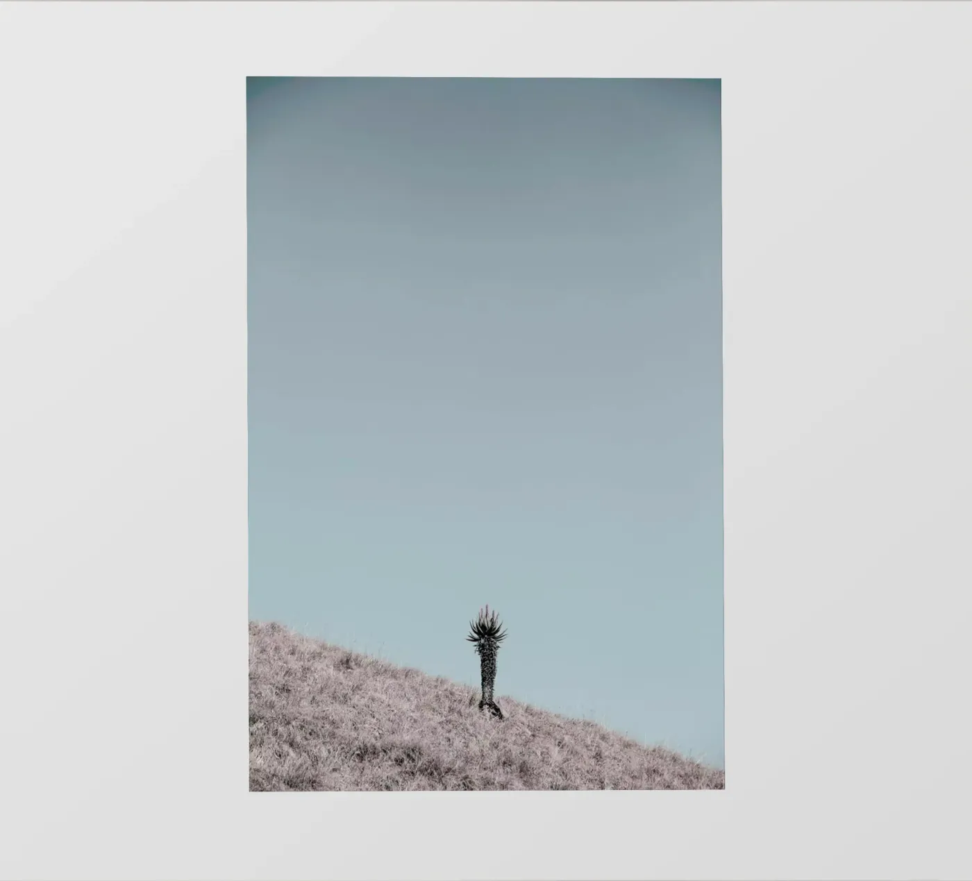 Solider pellicola backlit da Shot By Clint