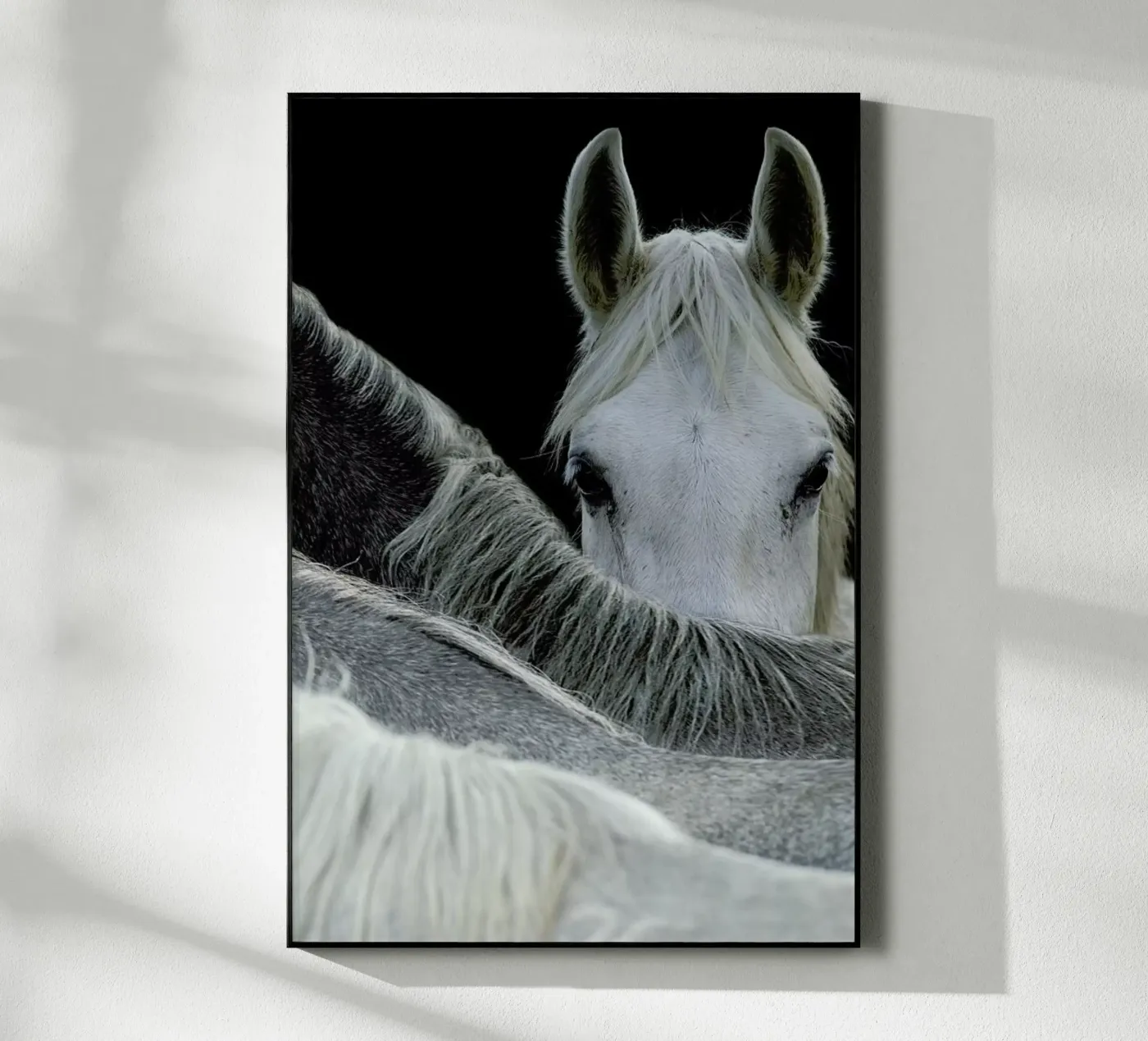 Look - Milan Malovrh plexiglass da Pictufy