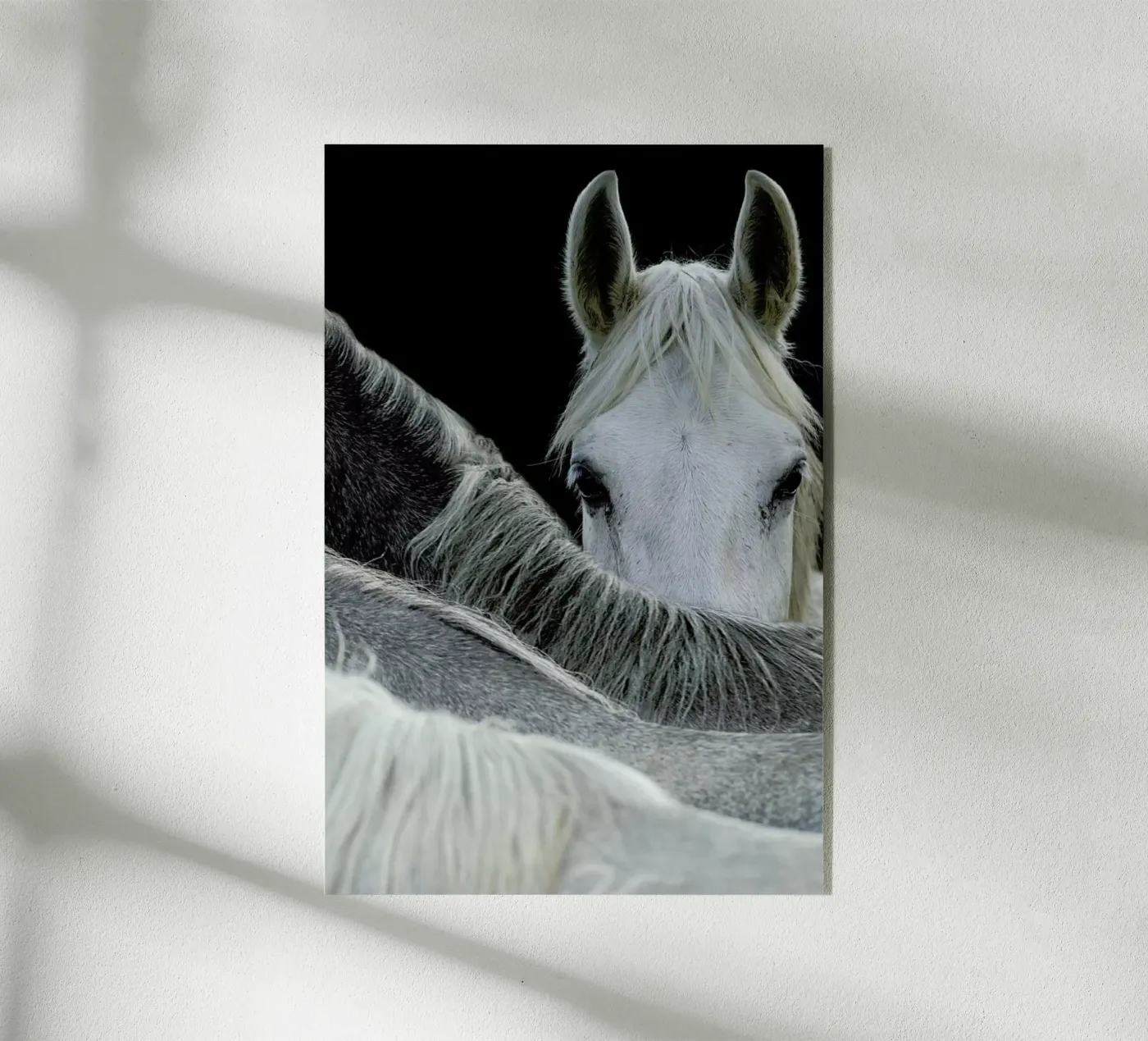 Look - Milan Malovrh plexiglass da Pictufy