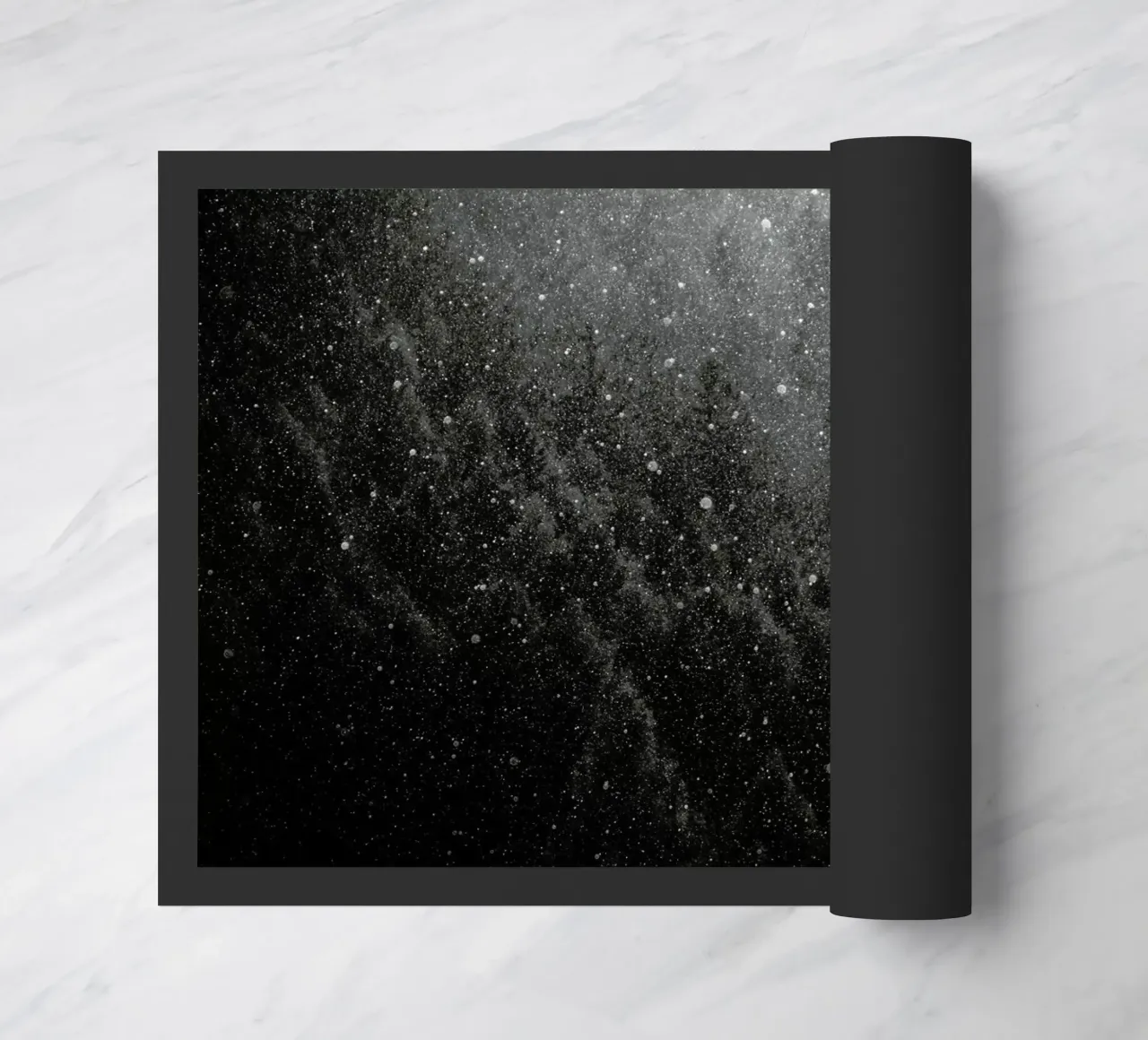 DSC1578 zerbino da Dustin Janko