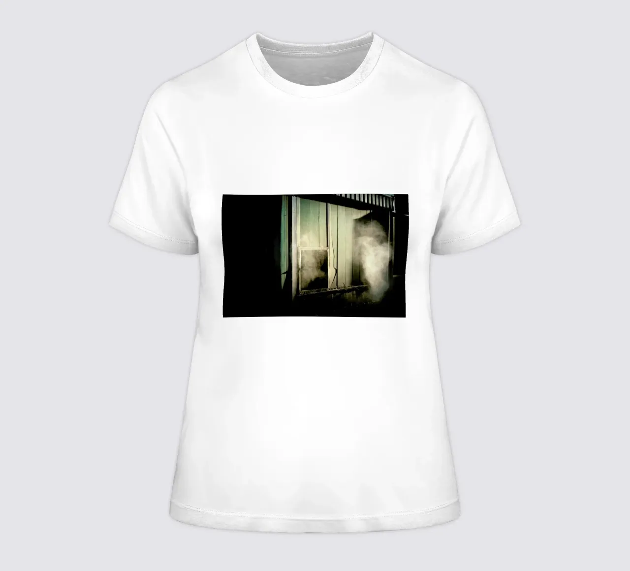 DSC6788 women's fitted t-shirt by Dustin Janko