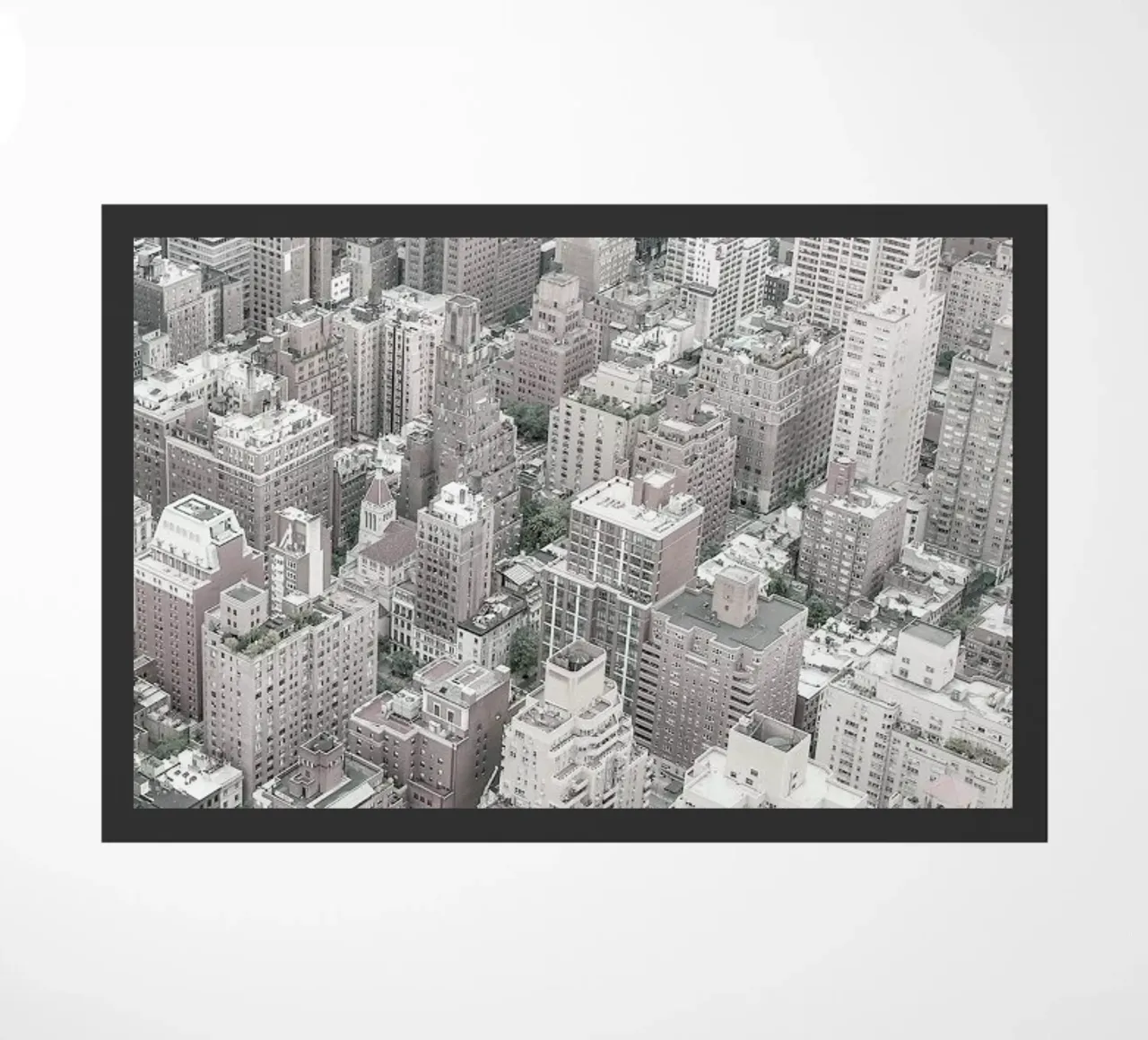 NYC zerbino da Shot By Clint