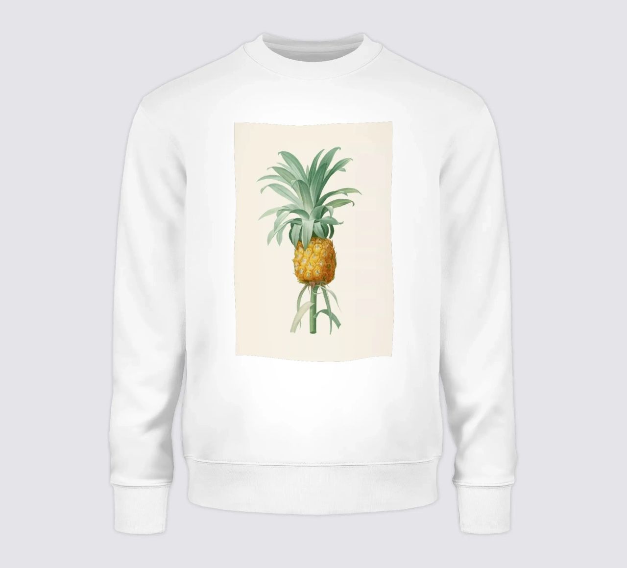 Ananas felpa da Astër