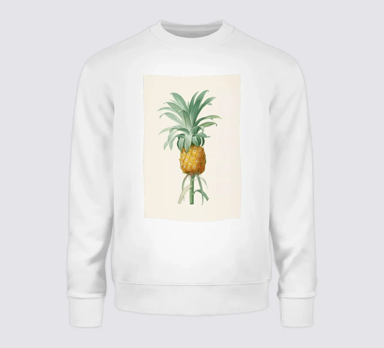 Ananas felpa da Astër