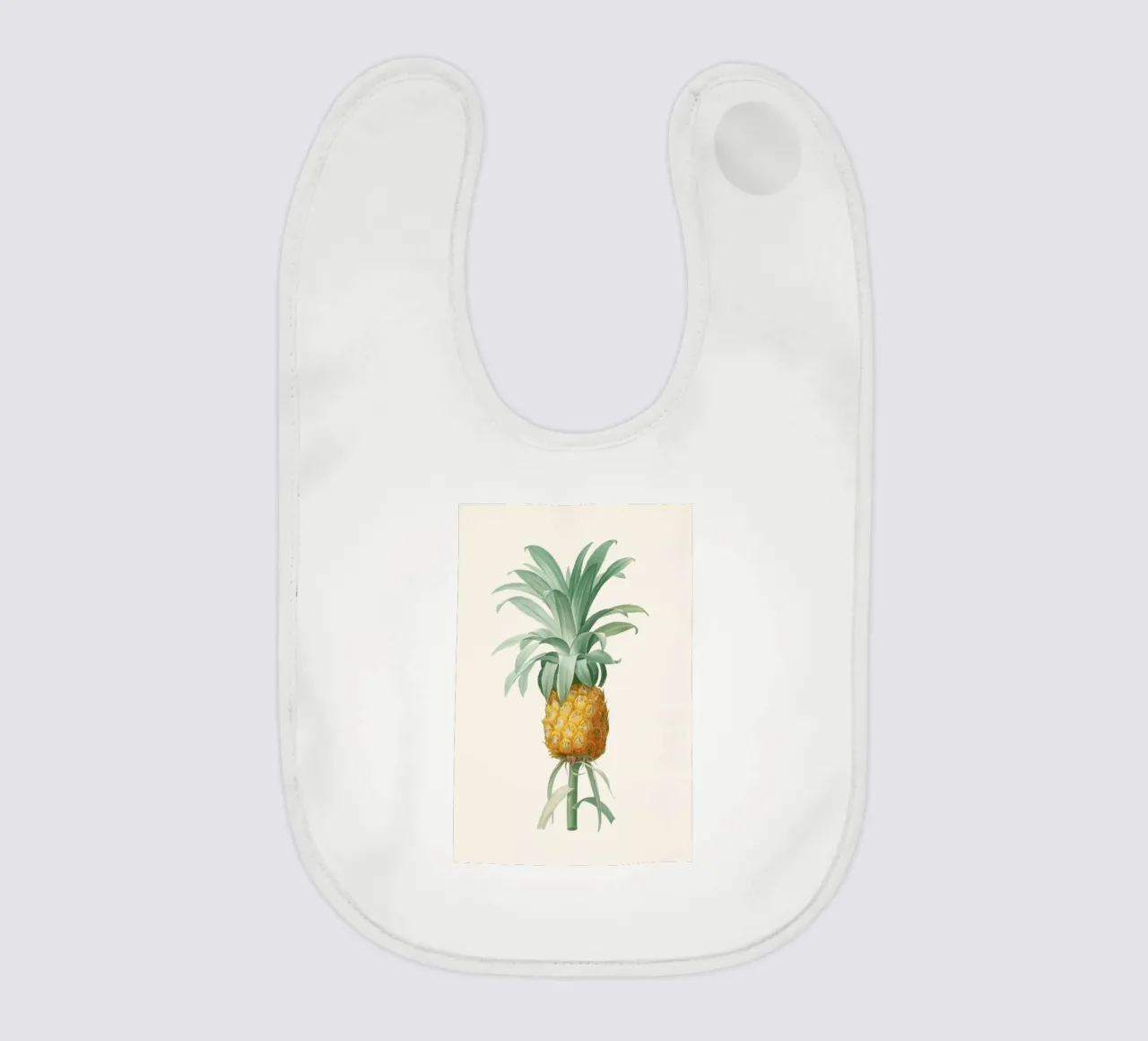 Ananas bavaglino da Astër