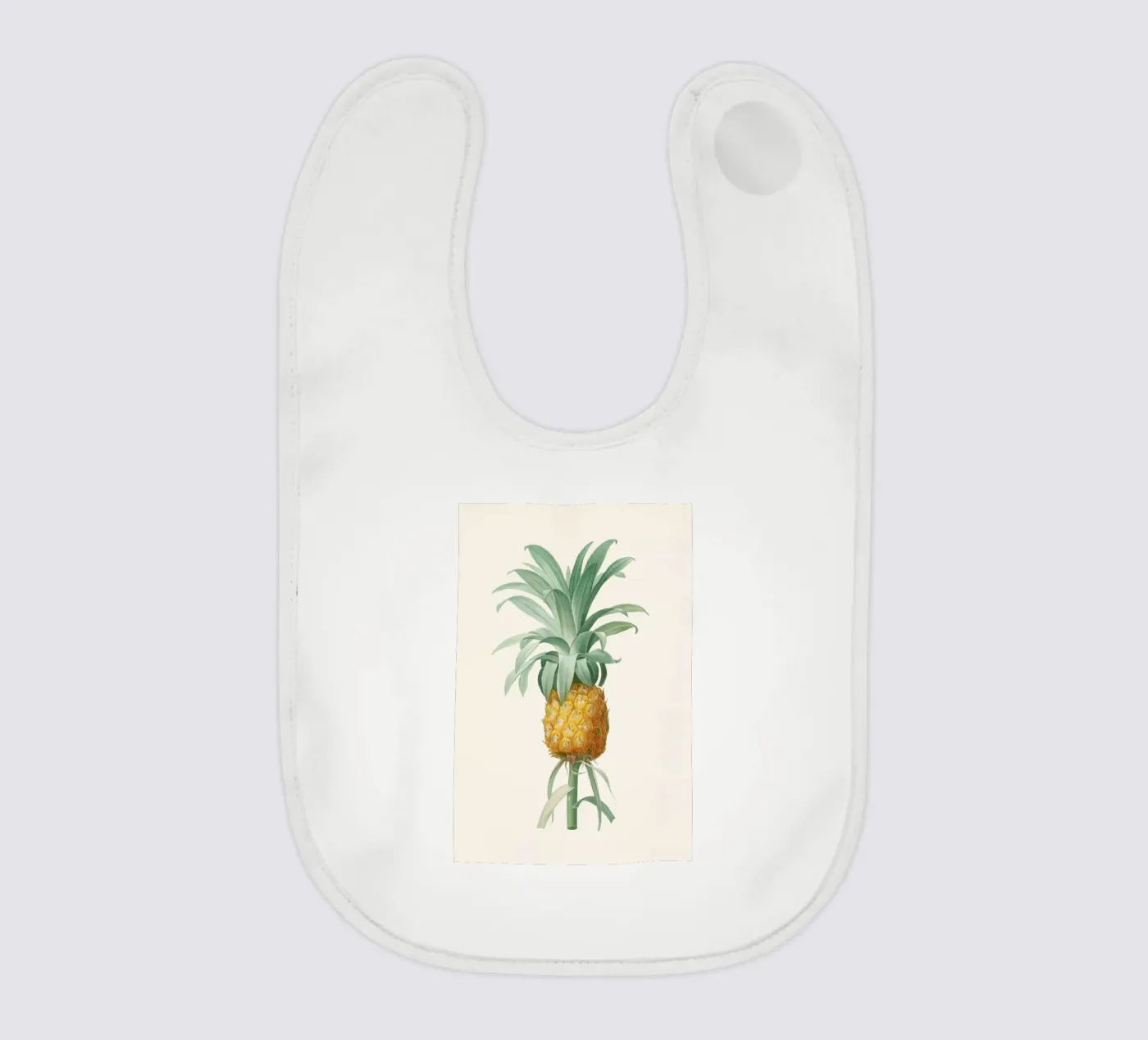 Ananas bavaglino da Astër