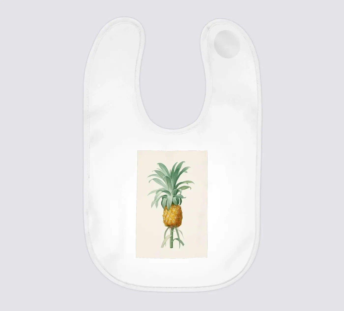 Ananas bavaglino da Astër