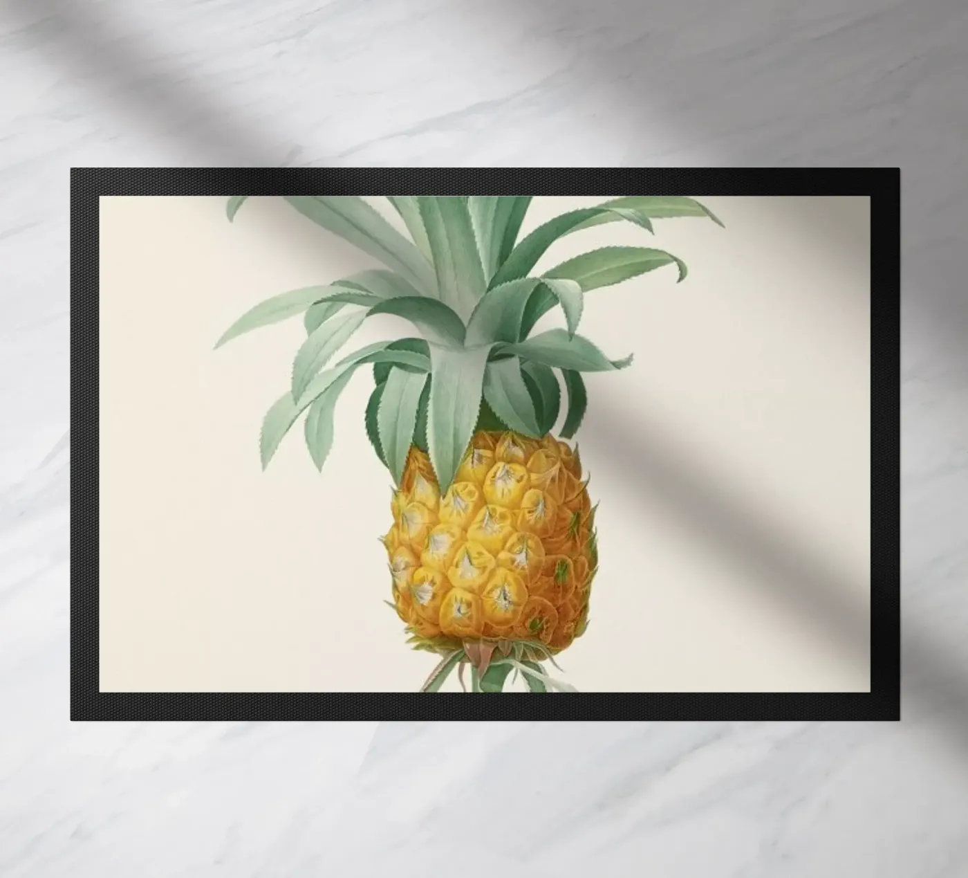 Ananas deurmat van Astër
