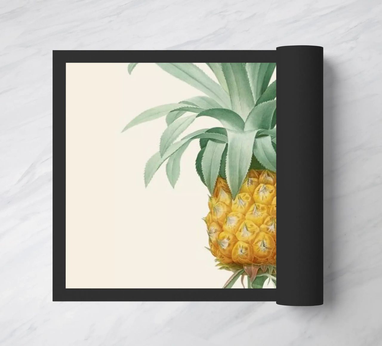 Ananas zerbino da Astër