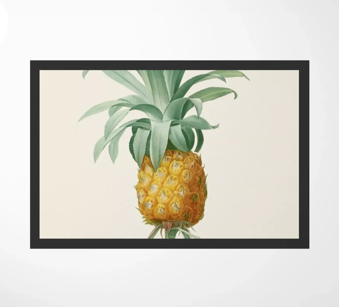 Ananas deurmat van Astër