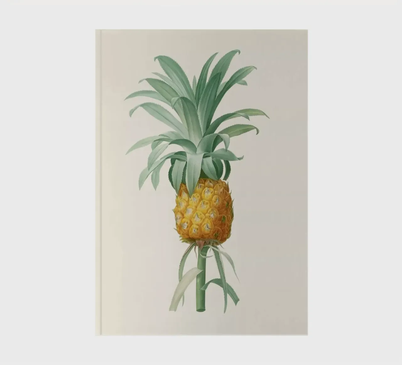 Ananas notebook by Astër