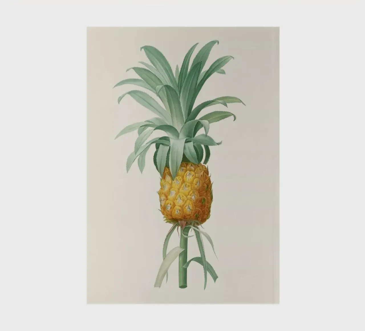 Ananas notebook by Astër