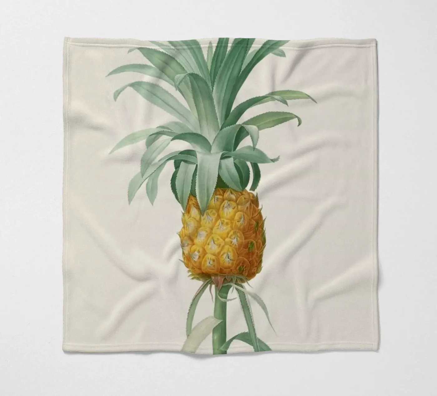 Ananas Fleecedecke von Astër