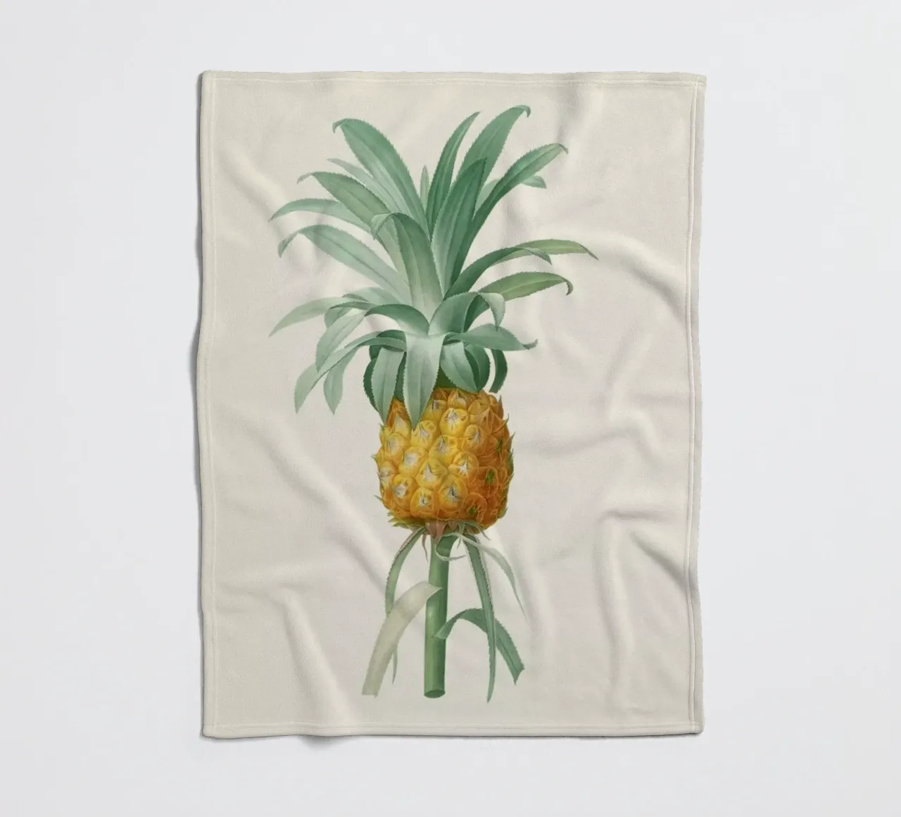 Ananas coperta in pile da Astër