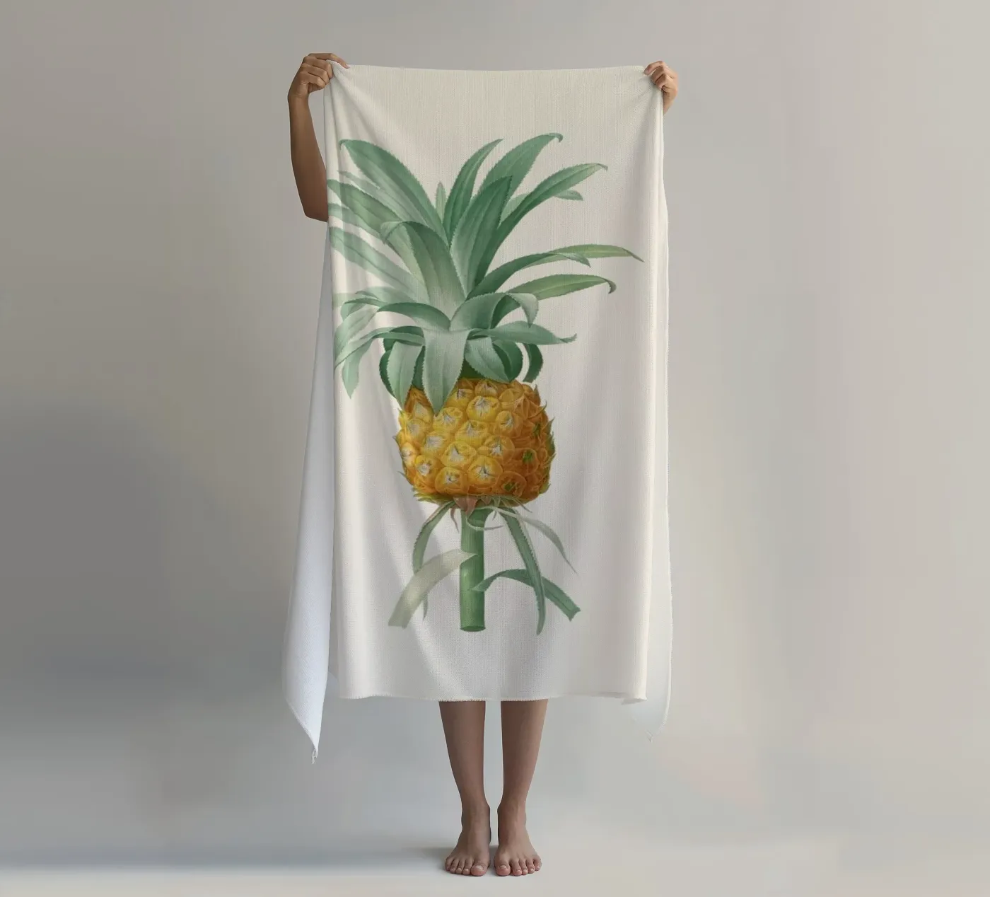 Ananas telo mare da Astër