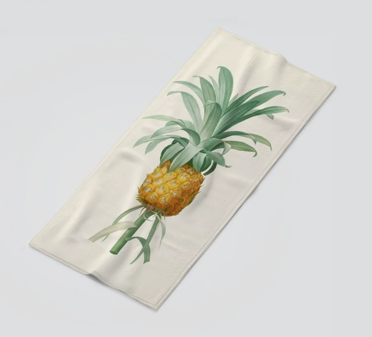 Ananas telo mare da Astër