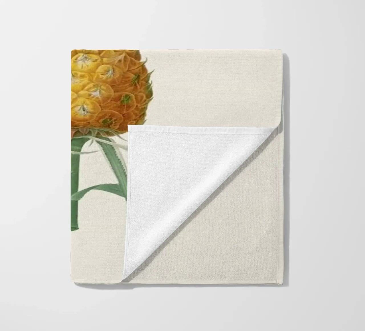 Ananas telo mare da Astër