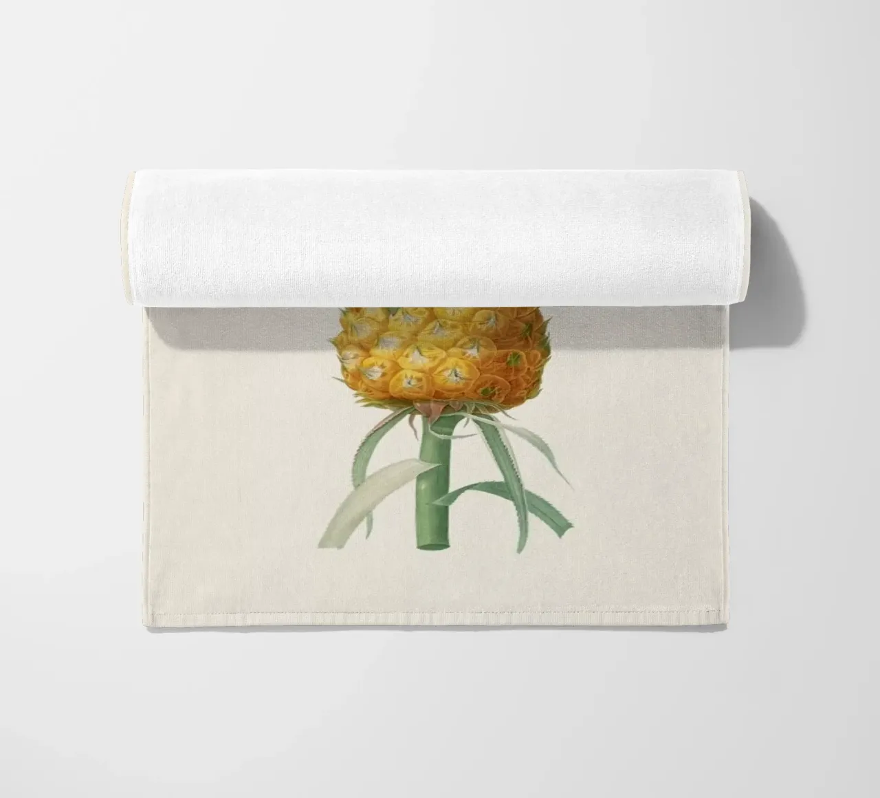 Ananas telo mare da Astër