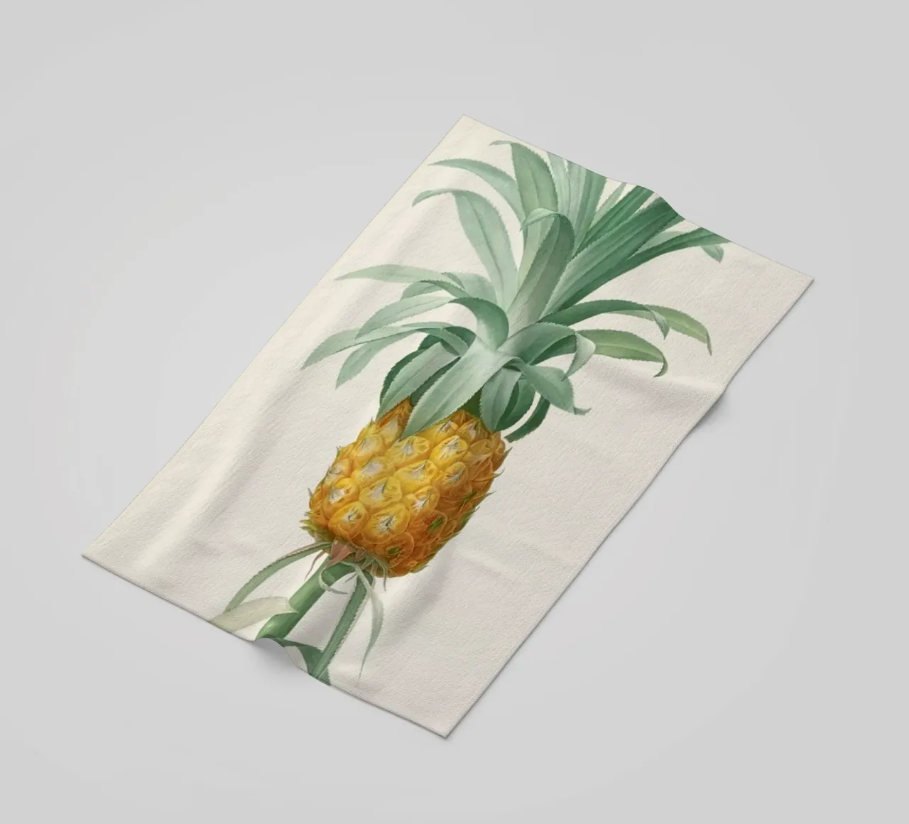 Ananas telo mare da Astër