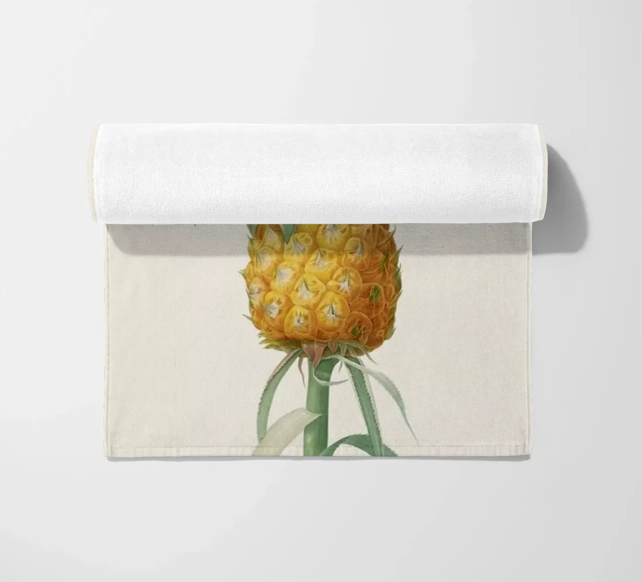 Ananas telo mare da Astër