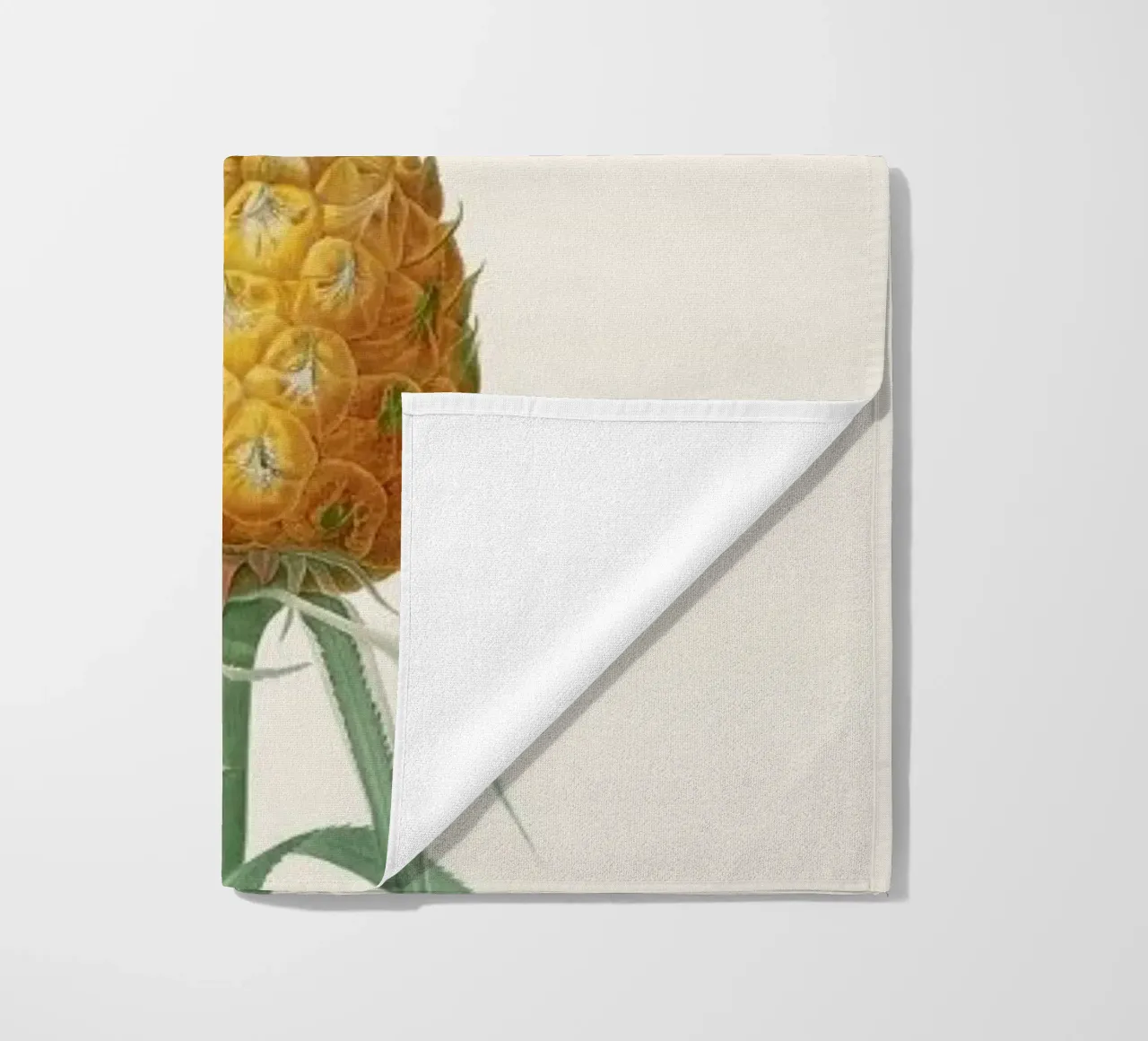 Ananas telo mare da Astër