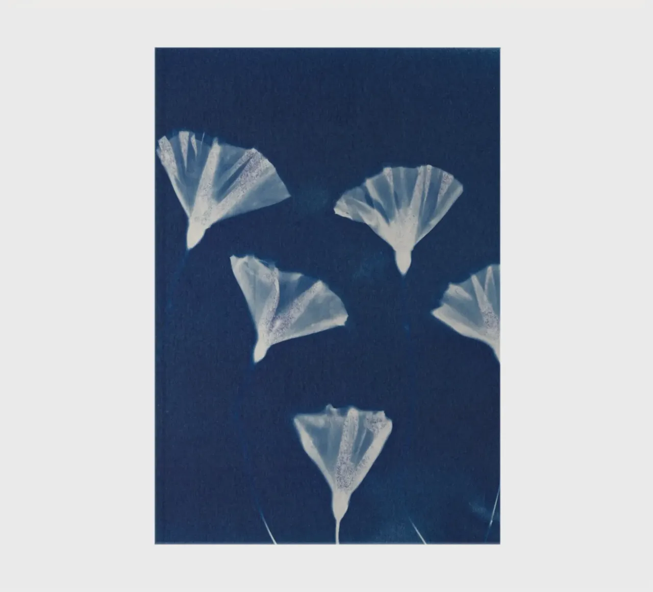 Magic in the Ordinary #9 notebook by Alisa Galitsyna