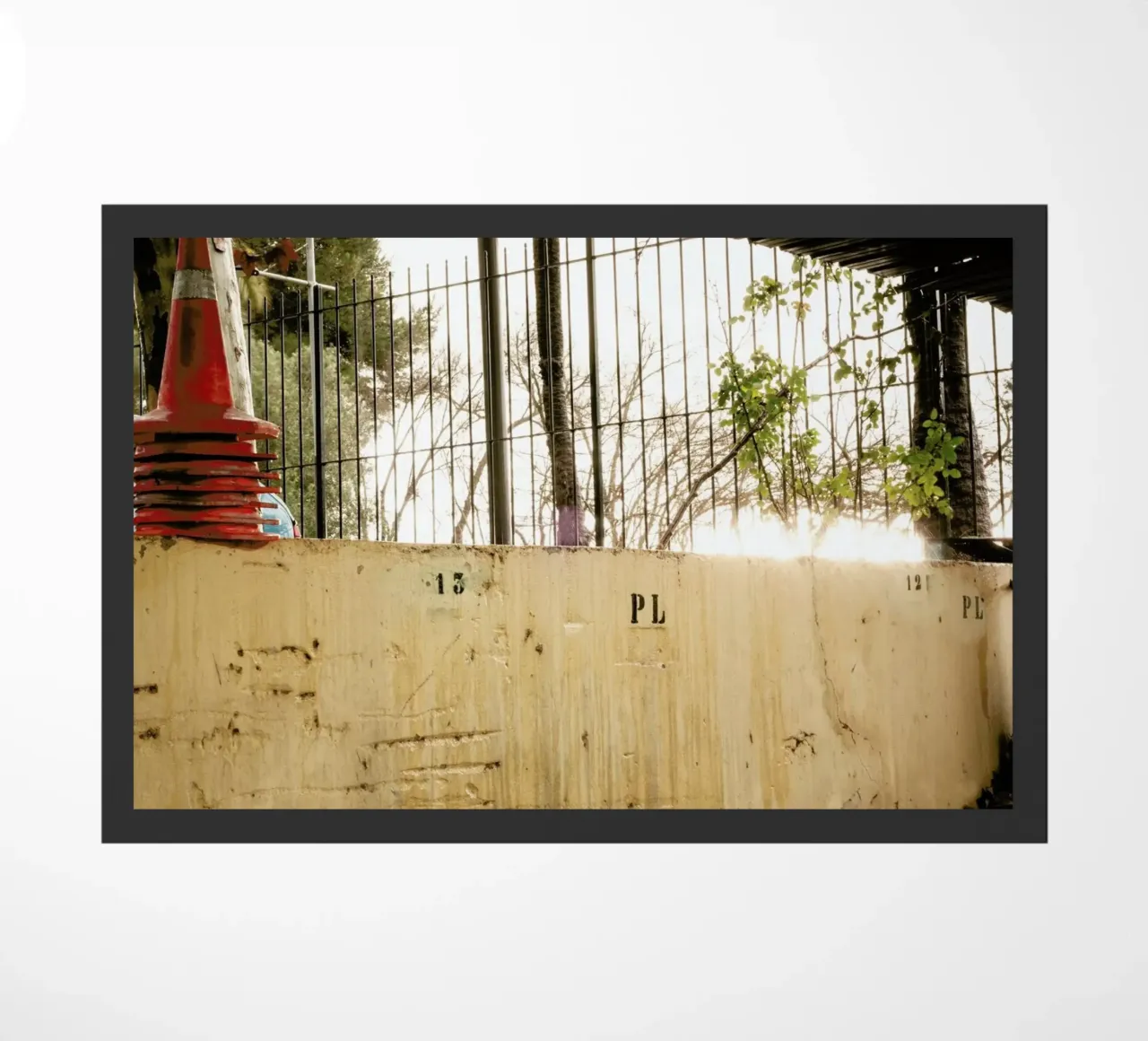 DSC8973 zerbino da Dustin Janko