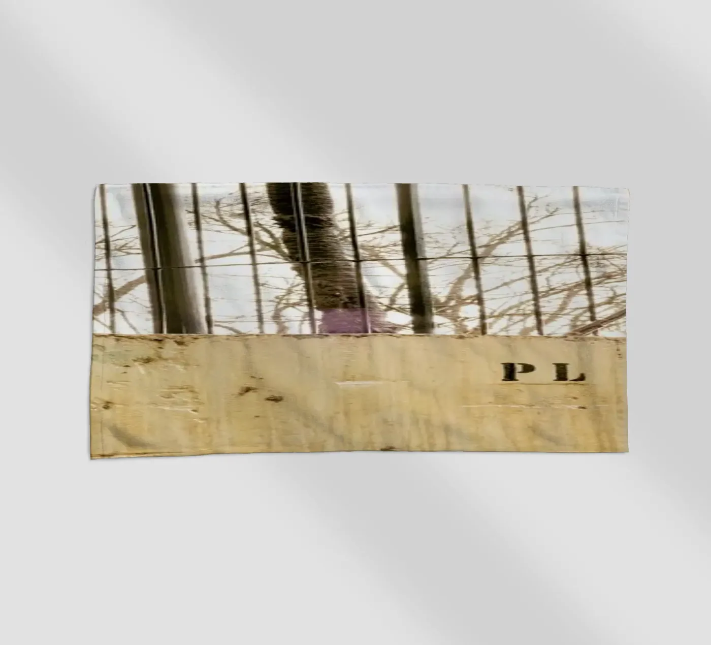 DSC8973 telo mare da Dustin Janko