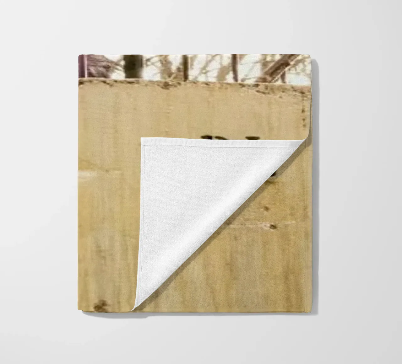 DSC8973 telo mare da Dustin Janko