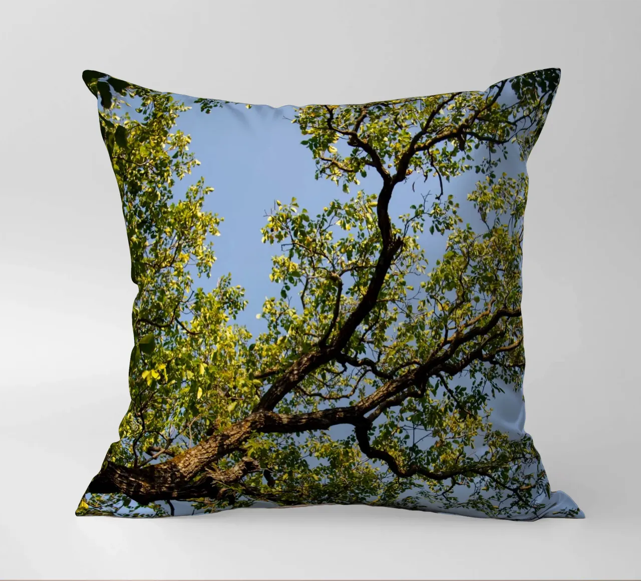 tree cuscino da lookingforstardust