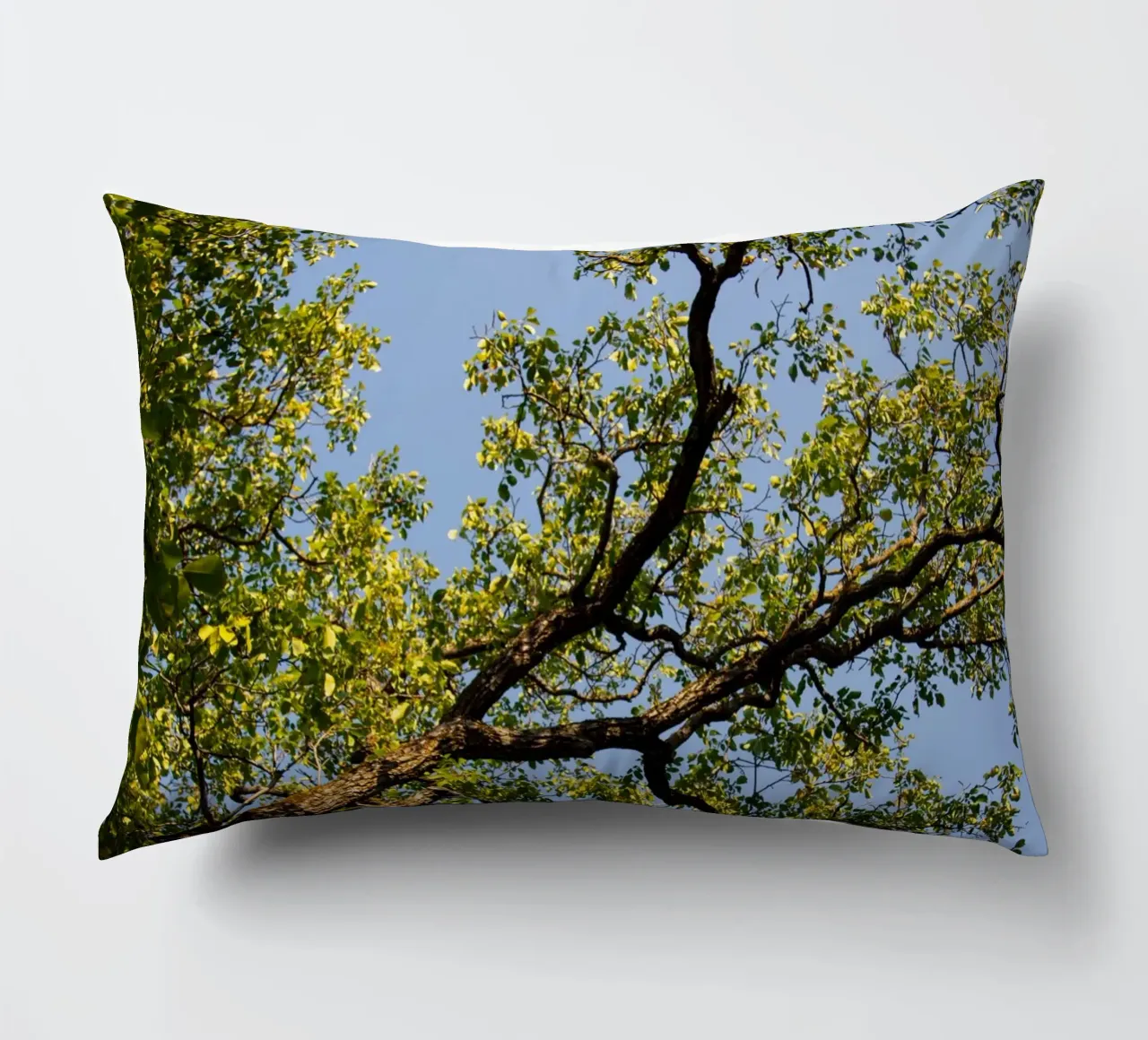 tree cuscino da lookingforstardust