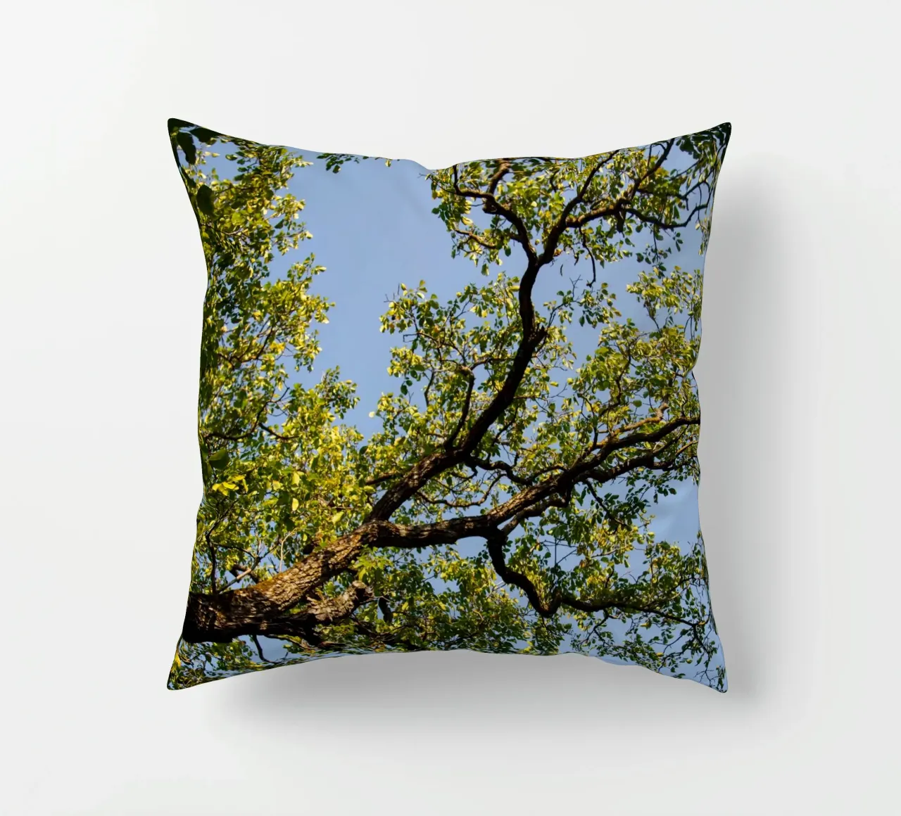 tree cuscino da lookingforstardust