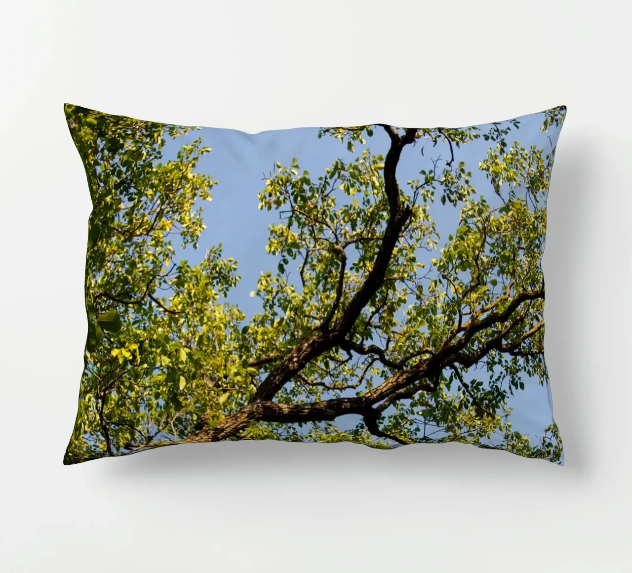 tree cuscino da lookingforstardust