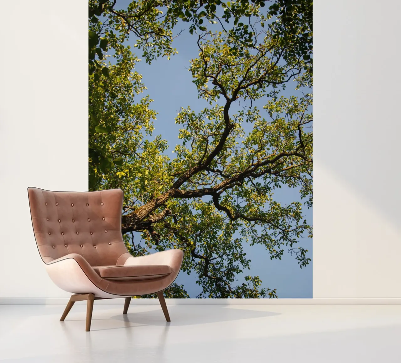 tree fotobehang van lookingforstardust